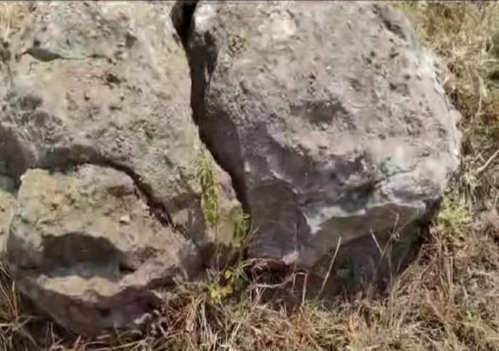 ancient dinosaur egg fossils found 6.5 billion years old