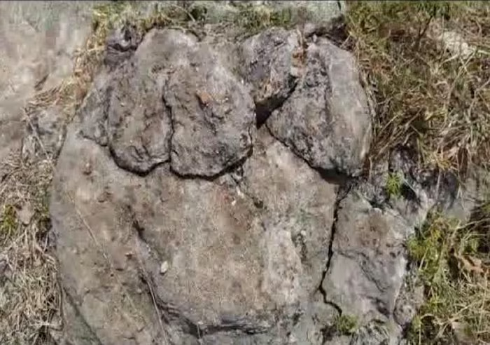 ancient dinosaur egg fossils found 6.5 billion years old