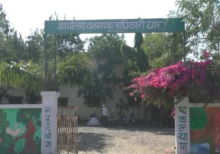 ancient dinosaur egg fossils found 6.5 billion years old