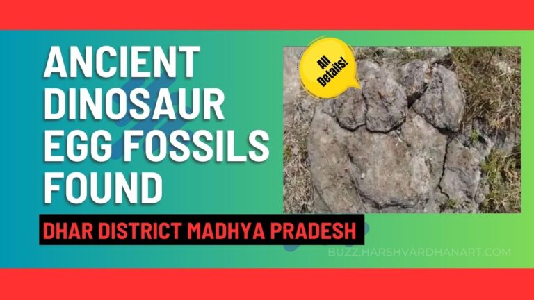 ancient dinosaur egg fossils found